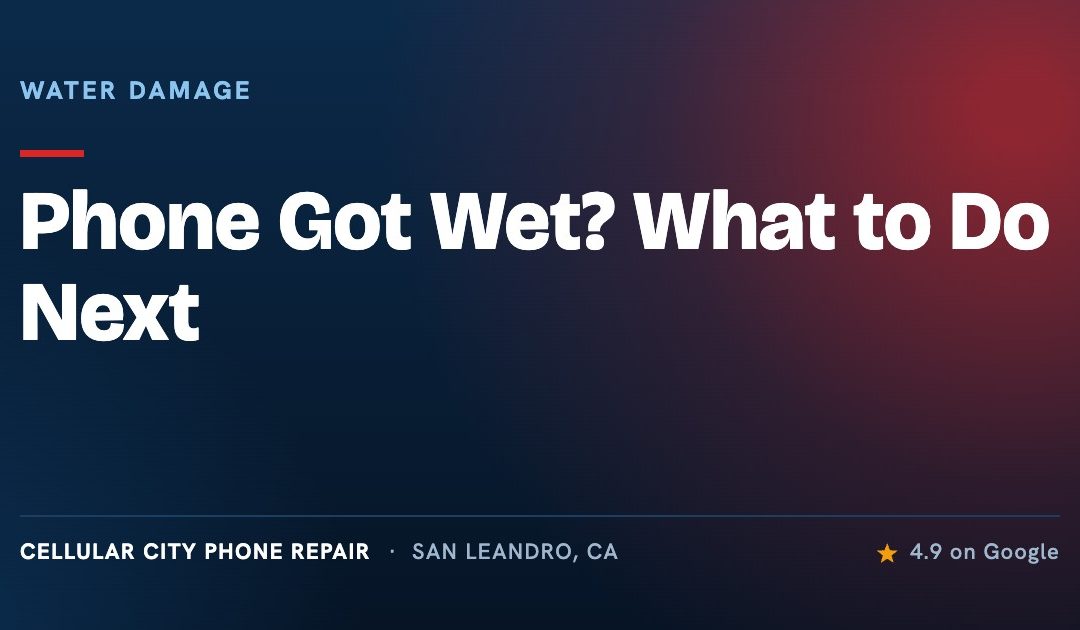 Phone Got Wet? Exactly What to Do (and What Not to Do)