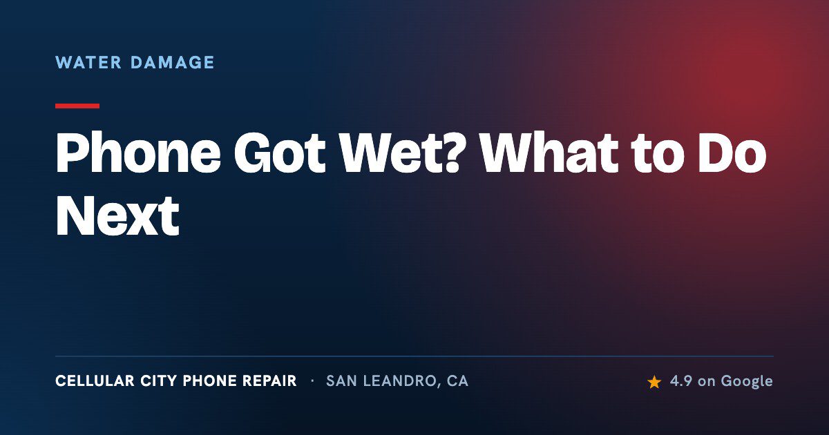 Phone Got Wet? What to Do Next — Cellular City Phone Repair, San Leandro