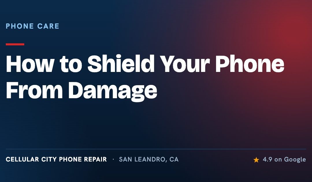 How to Shield Your Phone from Damage